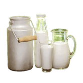 Cow Milk (চরের চরা গরুর খাঁটি দুধ)