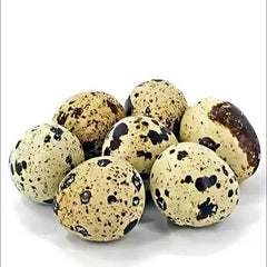 Koyel Egg (কোয়েল পাখির ডিম)