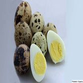 Koyel Egg (কোয়েল পাখির ডিম)