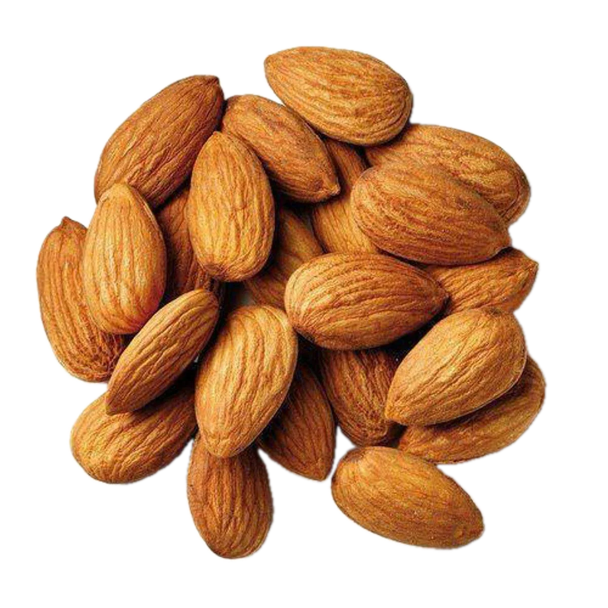 Almond (কাঠবাদাম)