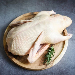 Duck (দেশিপাতি হাঁস)