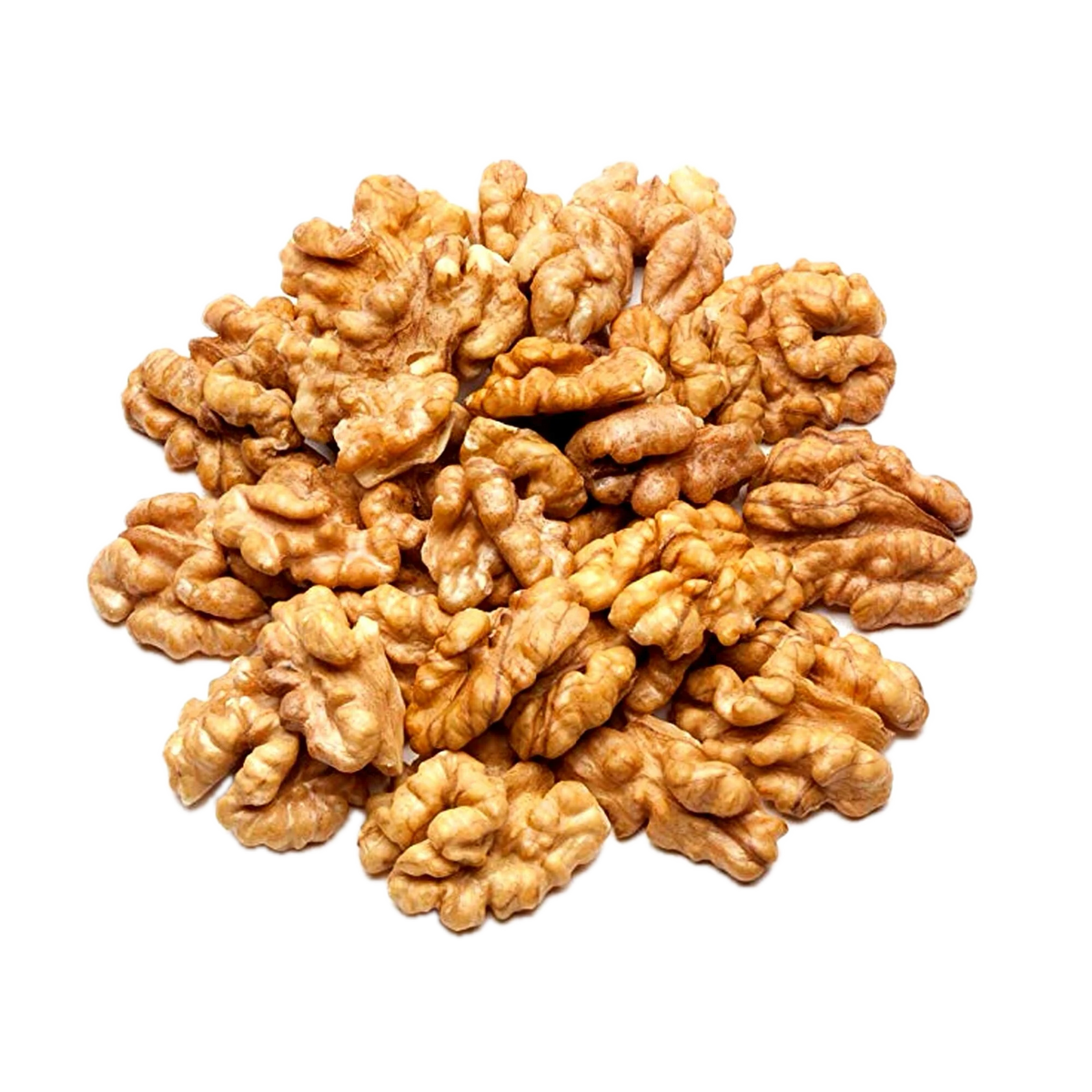 Walnut (আখরোট)